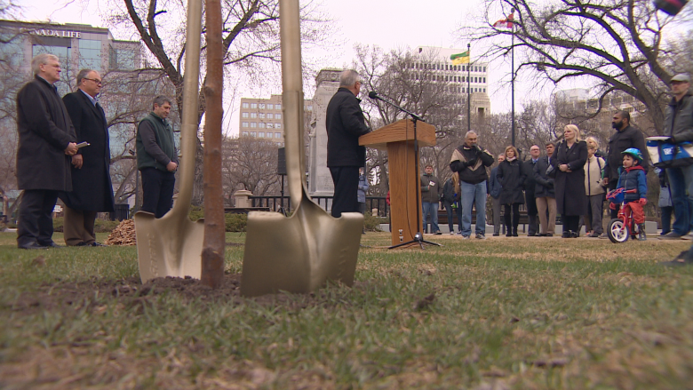 New trees planted in Regina's Victoria Park