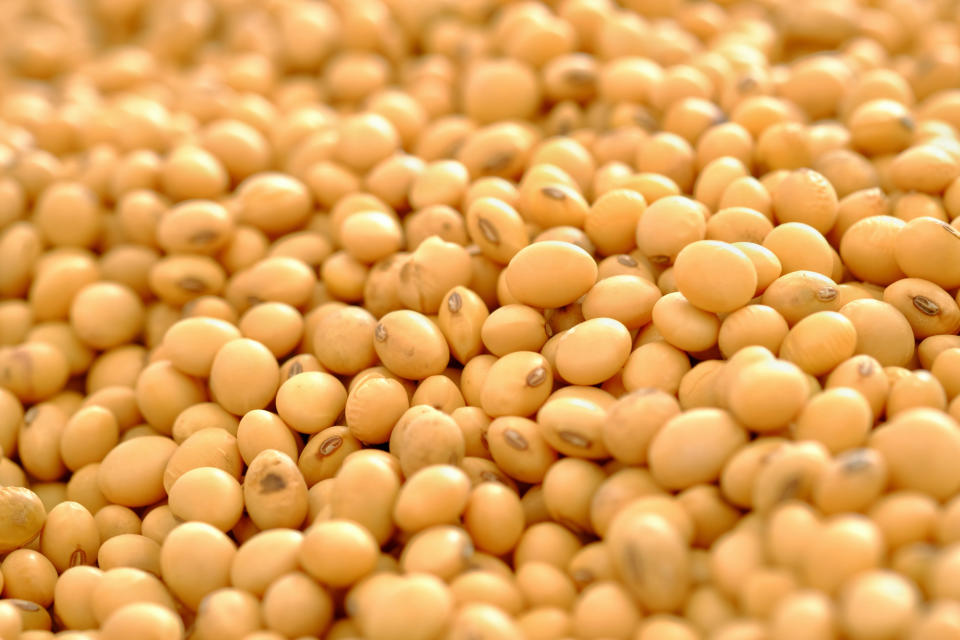黃豆、豆漿、豆腐等豆製品，可以減少更年期產生的潮熱頻率。（圖／Getty Images）