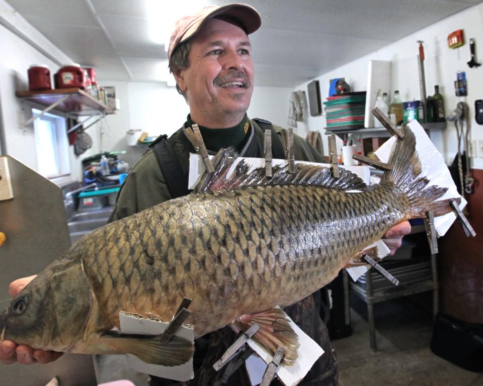 In Prairie du Chien, Wis., "Droppin' of the Carp" is a New Year's Eve tradition. A fish like this one (named Lucky) is lowered by a crane into a wooden cradle on St. Feriole Island, where hundreds line up to kiss her frozen lips for good luck.