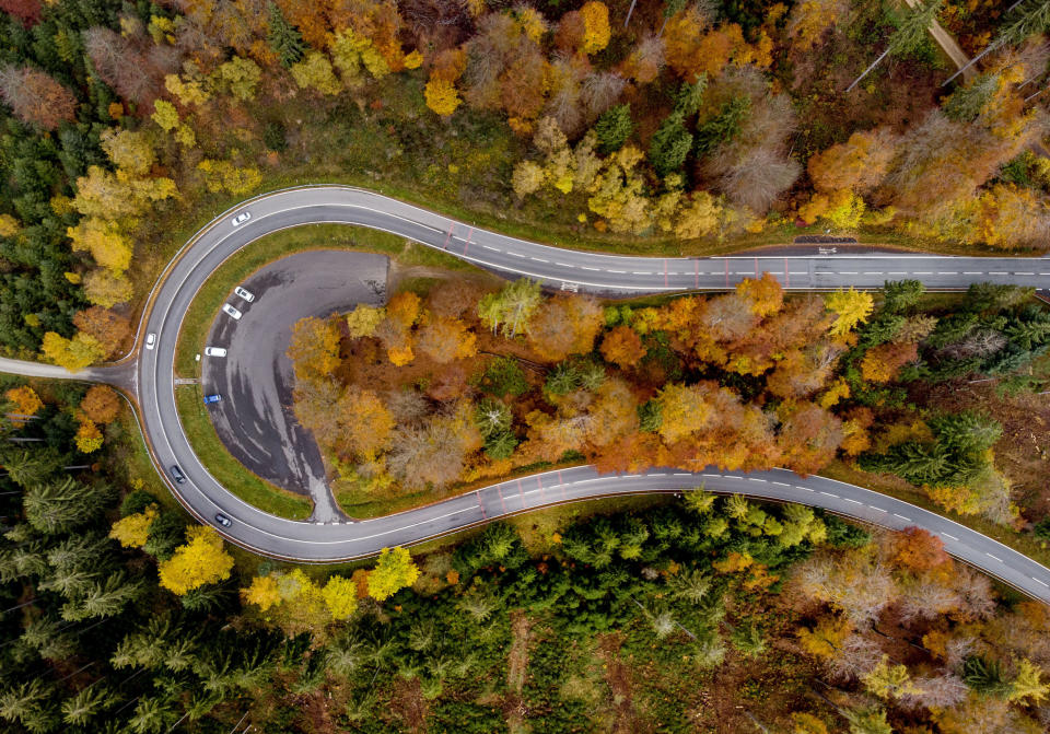 Colorful trees stand near a road through the Taunus region near Frankfurt, Tuesday, Oct. 2, 2021. More than 100 countries are pledging to end deforestation, which scientists say is a major driver of climate change. Britain hailed the commitment as the first big achievement of the United Nations climate conference in Glasgow. (AP Photo/Michael Probst)