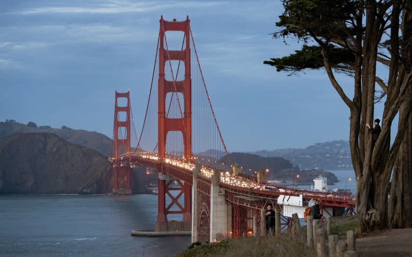 SAN FRANCISCO, CA - DECEMBER 28, 2019 - A boy climbs a tree while looking at the Golden Gate Bridge in San Francisco, California on December 28, 2019. (Josh Edelson/For the Times)