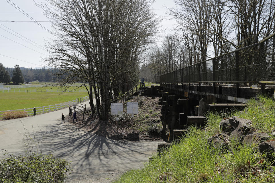 In this Wednesday, April 8, 2020, photo, a railroad trestle is shown near farmland near Carnation, Wash. Bill Chambers, 97, who died March 14, 2020, at an adult family home where he lived with four other World War II veterans and tested positive for the new coronavirus after he died, grew up in the area. (AP Photo/Ted S. Warren)