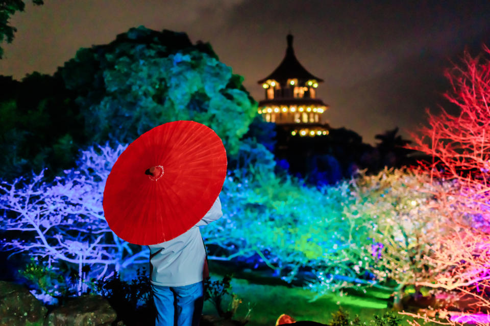 活動期間的每日下午4時30分至晚間8時30分+天元宮園區開放賞夜櫻活動，透過光影投射出光雕效果，印襯在櫻花樹上，極富意境。(圖為112年資料照片、新北市政府提供)