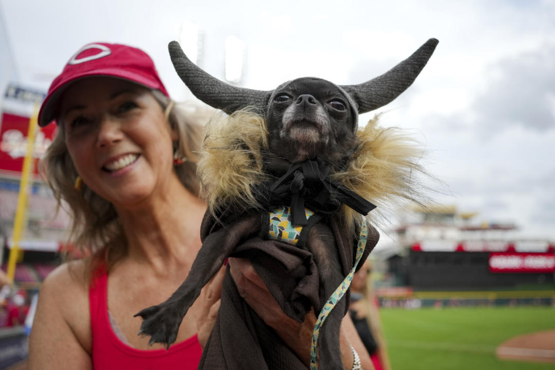 Denise Dal Vera holds her dog, Coco, as they pose for a photo on the field for Bark in the Park before a baseball game between the Seattle Mariners and the Cincinnati Reds in Cincinnati, Wednesday, Sept. 6, 2023. (AP Photo/Aaron Doster)