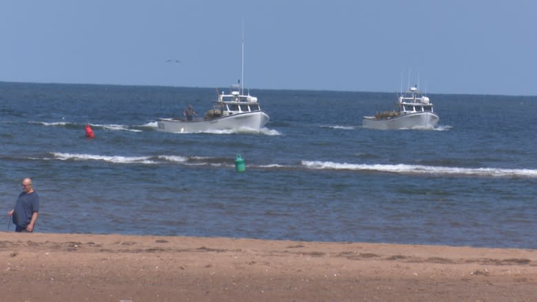 Malpeque Harbour woes continue as another boat runs aground Monday