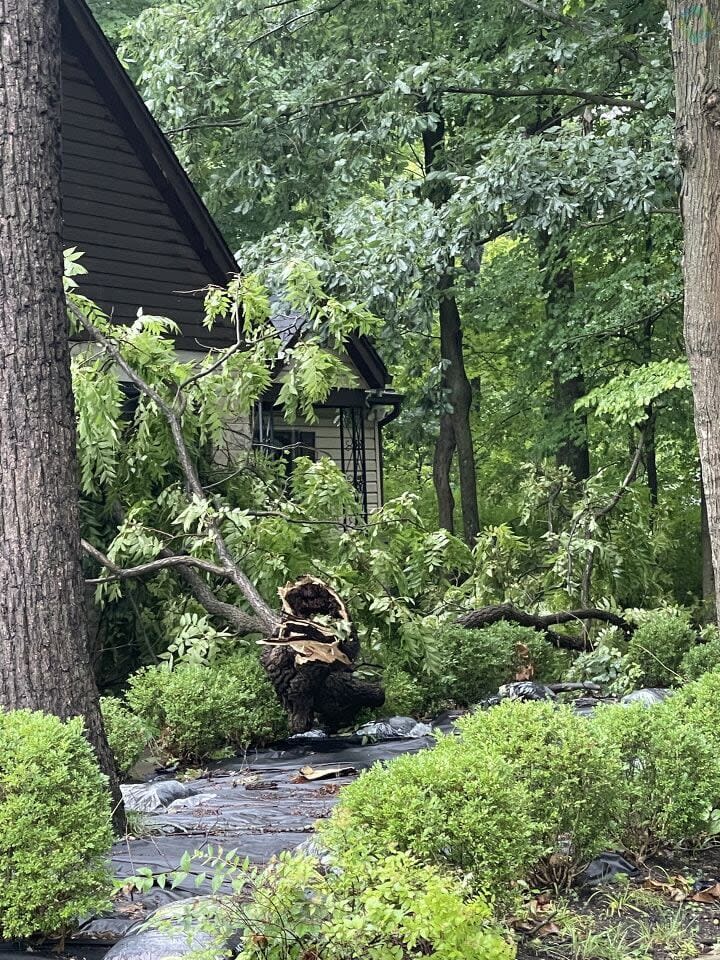 Storm Damage in the Miami Valley