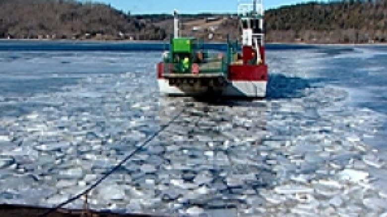 Gagetown ferry supporters vow to keep fighting for return of vessel