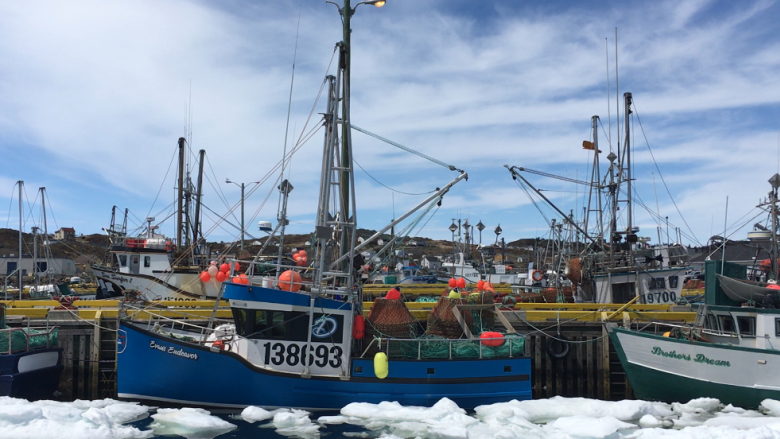 Shrimp plant in Twillingate to remain closed