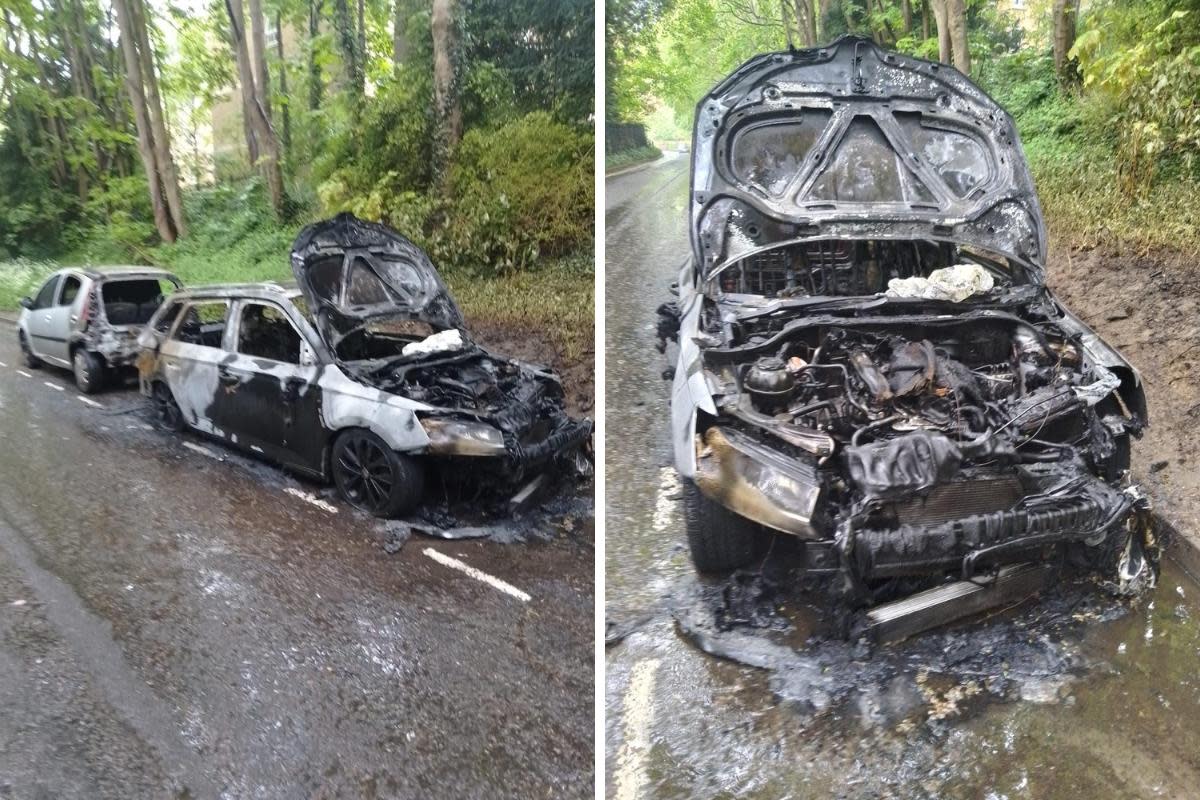 Fire damaged cars in Oxford <i>(Image: Public submission)</i>