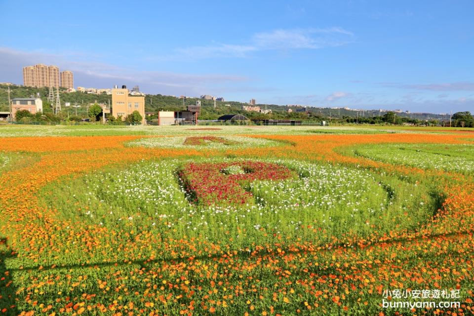 2019桃園花彩節大溪展區，夢幻花海迷宮、彩虹花田浪漫登場