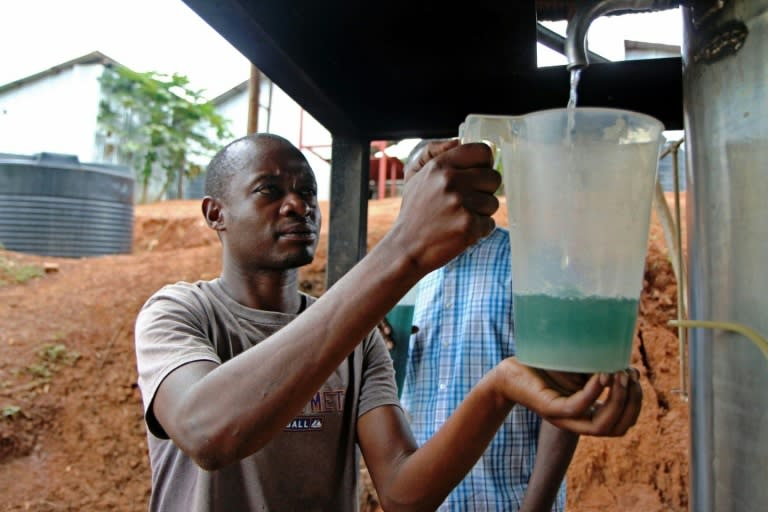 Rwanda last year exported around 14 tonnes of essential oils -- geranium, moringa, patchouli and tagetes -- bringing in $473,000, according to the National Agricultural Export Development Board