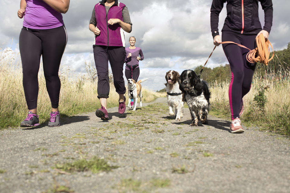 A group of women walking their dogs.