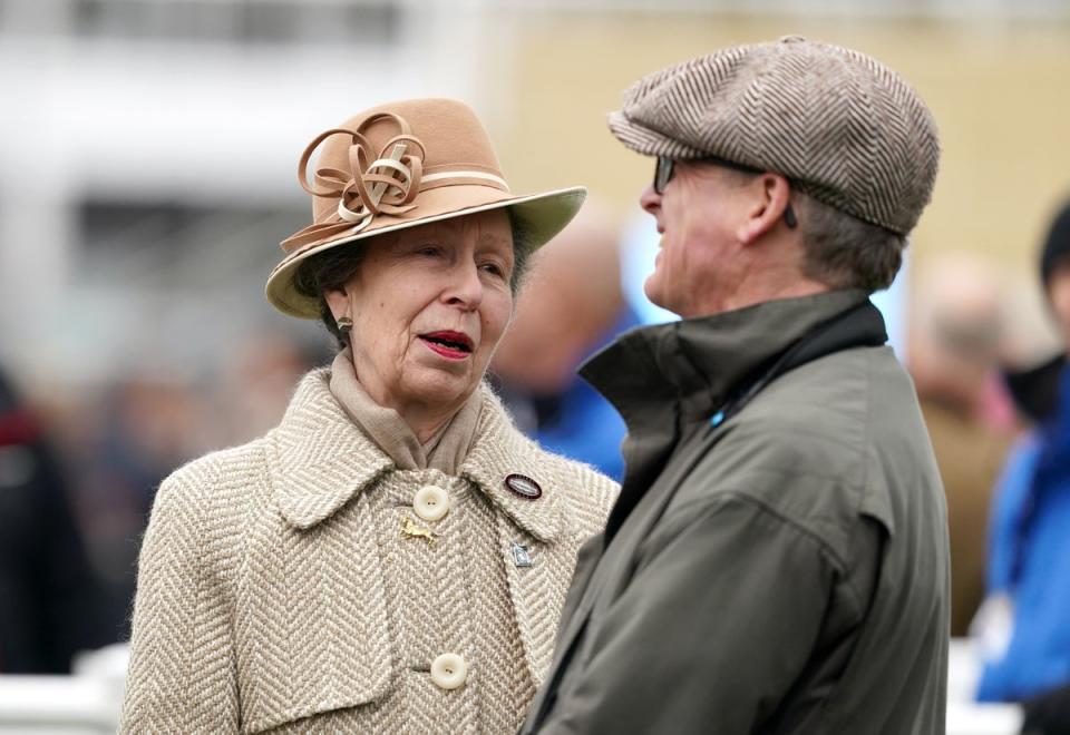 The Princess Royal on day two of the 2024 Cheltenham Festival at Cheltenham Racecourse (Adam Davy/PA Wire)