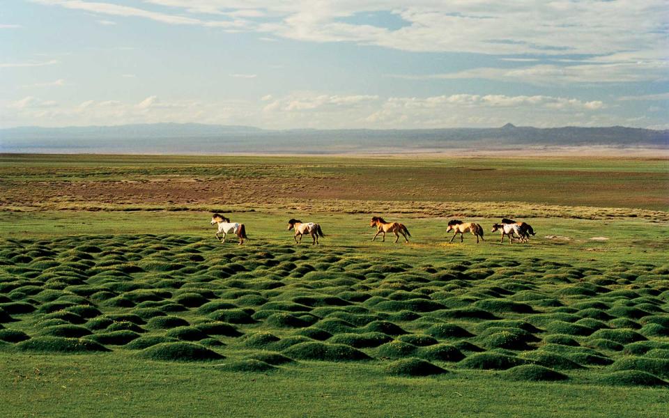 <p>I once read a book about Genghis Khan (nerd alert!) and was instantly transfixed by the descriptions of the Mongolian steppes. The visual evidence I've seen of the country's rolling grasslands has only gotten me more hooked. I'm fixated on the idea of joining up with the nomads, sleeping in a cozy ger, and horse-back riding across vast, empty stretches of land. – <em>Jacqui Gifford, special projects editor</em></p>