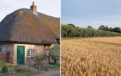 Across 4,000 acres, Leckford Estate includes vineyards, staff properties, orchards, water gardens, wheat fields and food-production sites - Credit: Andy Sewell