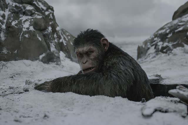 <p>20th Century Fox/Kobal/Shutterstock</p> Andy Serkis in "War for the Planet of the Apes" (2017)