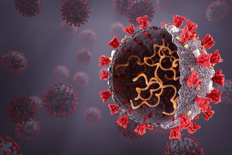 Los expertos señalan que la JN.1, nueva variante del coronavirus, es altamente contagiosa