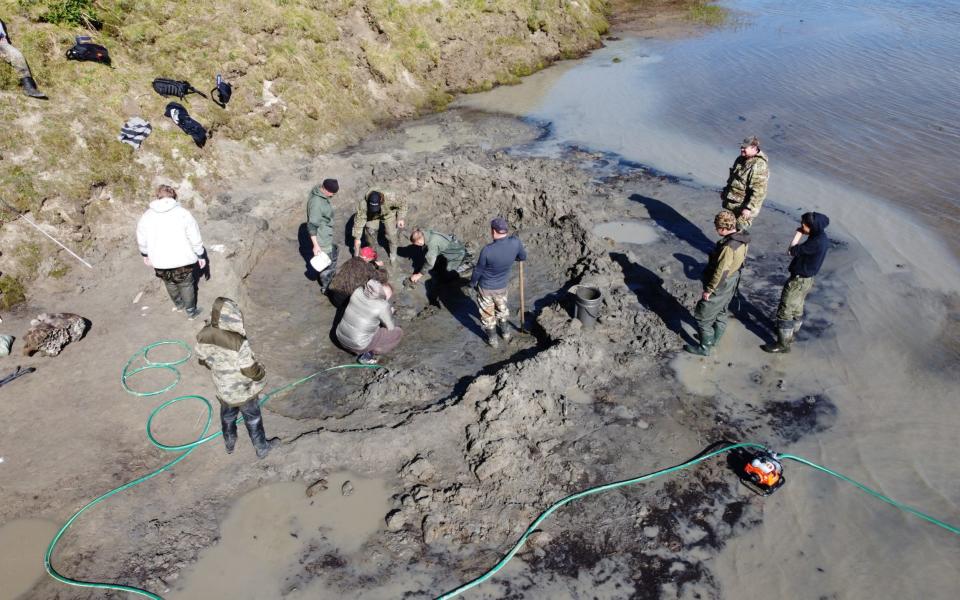 Specialists discover mammoth bones along the shore of Pechevalavato Lake  - REUTERS