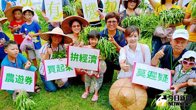 ▲竹林有機農場親子開心農場摘菜體驗，讓孩子接觸有機土壤的芬芳，是許多國中小戶外教育的首選。（圖／記者陳美嘉攝，2020.09.06）