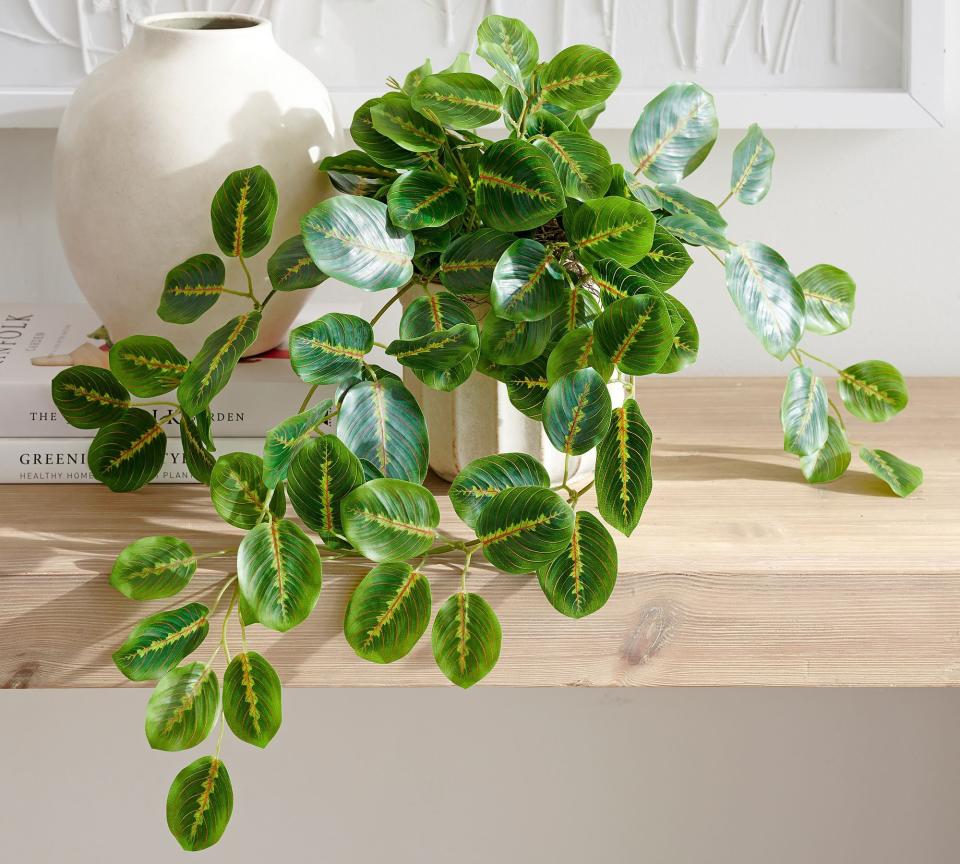 <p><a href="https://go.redirectingat.com?id=74968X1596630&url=https%3A%2F%2Fwww.potterybarn.com%2Fproducts%2Ffaux-wandering-prayer-houseplant%2F&sref=https%3A%2F%2Fwww.housebeautiful.com%2Fentertaining%2Fholidays-celebrations%2Fg27104524%2Fbest-gifts-for-new-moms%2F" rel="nofollow noopener" target="_blank" data-ylk="slk:Shop Now;elm:context_link;itc:0;sec:content-canvas" class="link ">Shop Now</a></p><p>Faux Wandering Prayer Plant</p><p>potterybarn.com</p><p>$49.50</p>