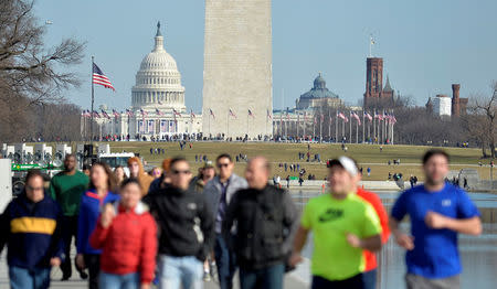 Tourists and visitors crowd the Reflecting Pool and the Washington Monument (C) with the U.S. Capitol in the background, in the days prior to Donald J. Trump's inauguration, in Washington, U.S., January 15, 2017. REUTERS/Mike Theiler