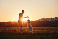 <p>Es hilft immer, Unterstützung beim Sport zu haben, um sich zu motivieren. Verabreden Sie sich zum Beispiel zum Spaziergang. Oder schaffen Sie sich einen Hund an! Der muss täglich raus, und damit auch Sie. Dog-Sitting tut es fürs Erste auch, um zu sehen, ob Sie Spaß am Herumtollen mit einem Hund haben. Dabei verbrennen sich die Kalorien ganz von alleine. (Bild: iStock/Chalabala)</p> 