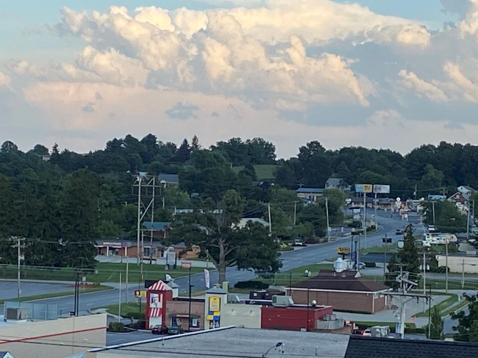 Oblivious to sprawl and development, a mighty oak stands tall on Dunkin’s lawn at South Queen Street and Allegheny Drive in Spry.