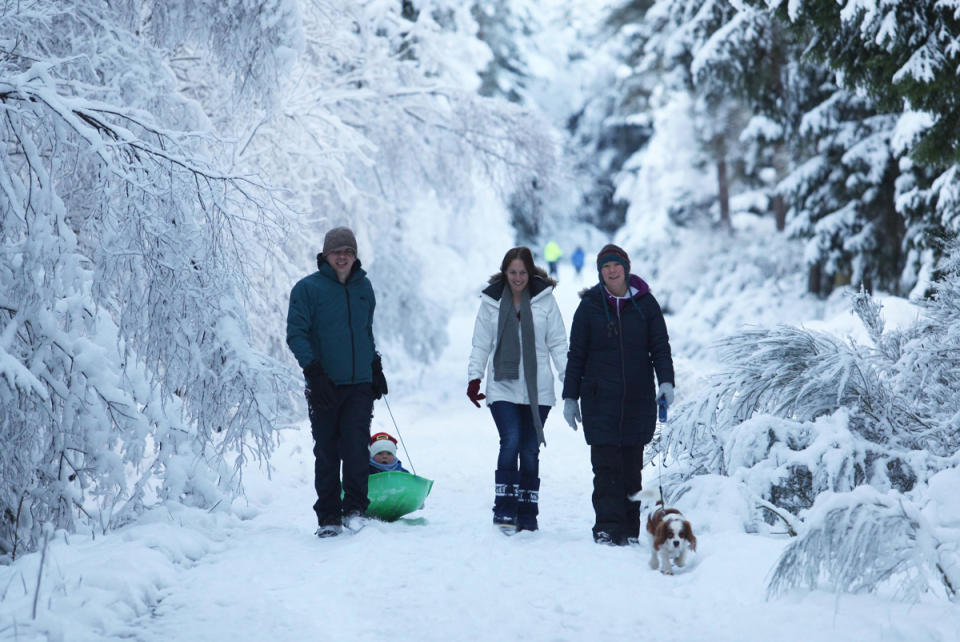 People enjoy a walk in the snow near Muir of Ord where the temperature today was -11.5C (Rex)