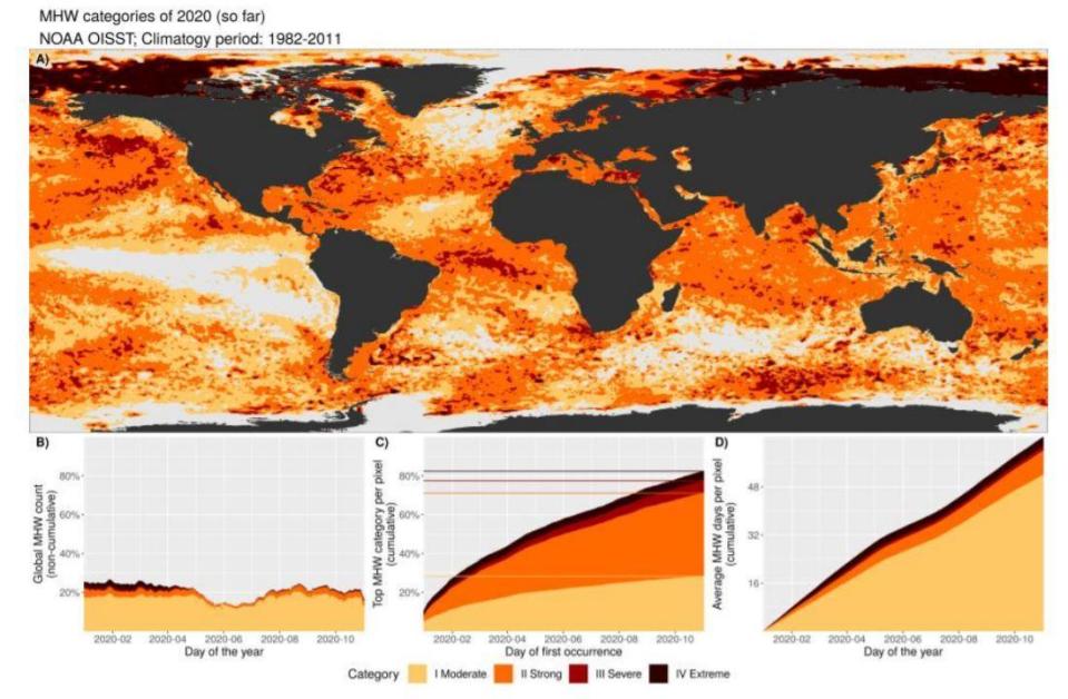 Red areas indicate areas which experienced ocean heat waves. The darker the red, the more extreme the heat. / Credit: UN Report