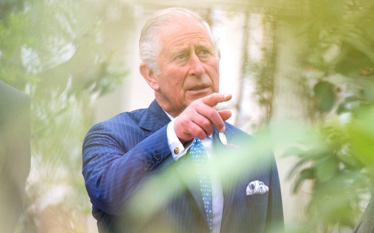 The Prince of Wales will appear on BBC Gardeners' World on Wednesday - PA