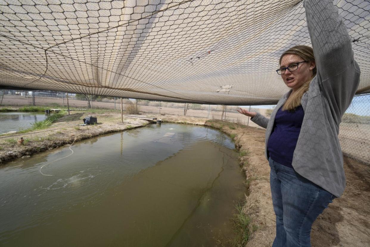 A woman looks into a pond of muddy water.