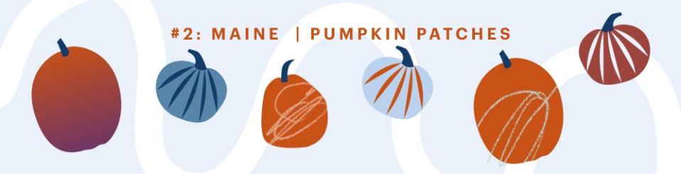 Maine is the prime location for pumpkin patch lovers.
