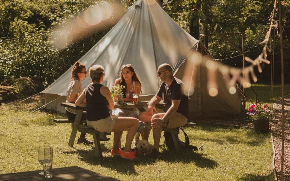 Glamping with a dog - Getty Images/iStockphoto