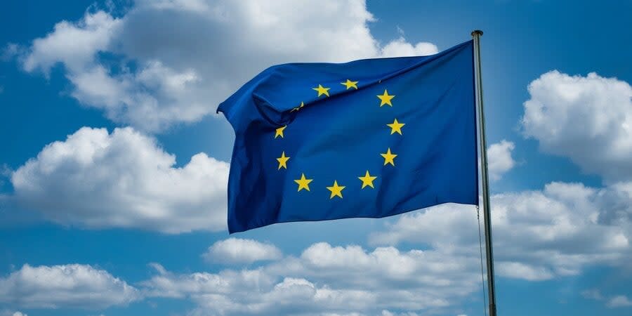 The flag of the European Union