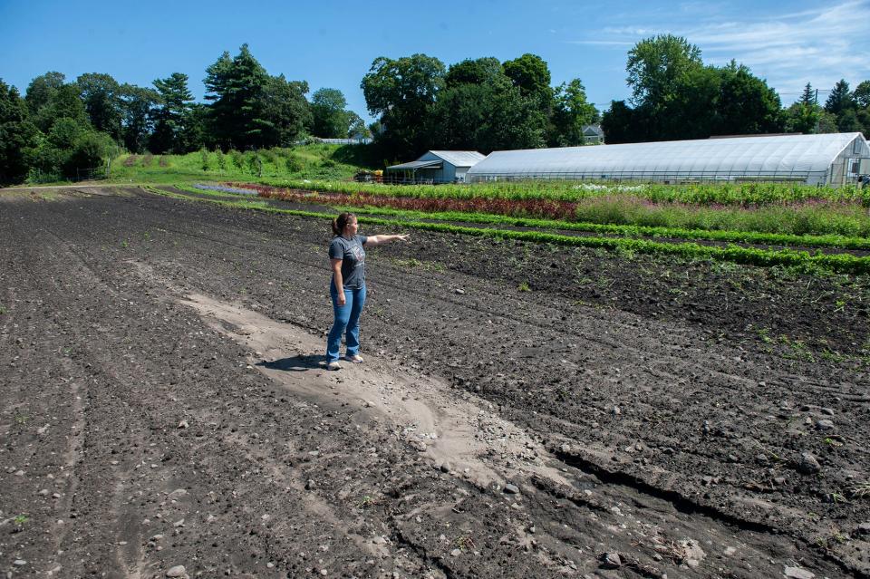 At Volante Farms in Needham, Teri Volante Boardman in a recently flooded field that was supposed to grow lettuce, in an August 2023 file photo.