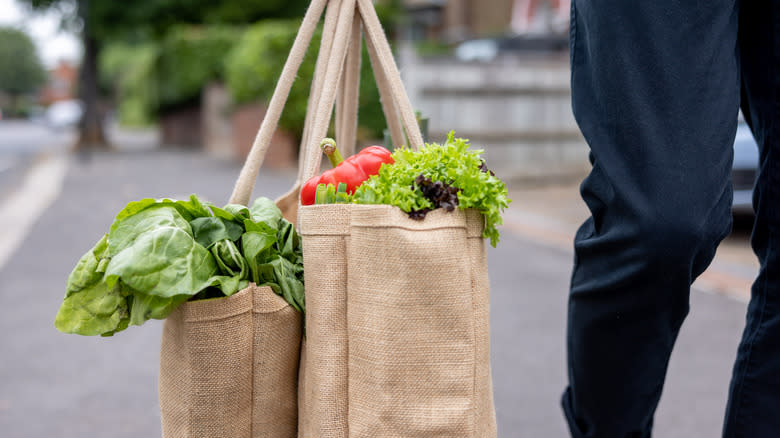 person carrying reusable shopping bags