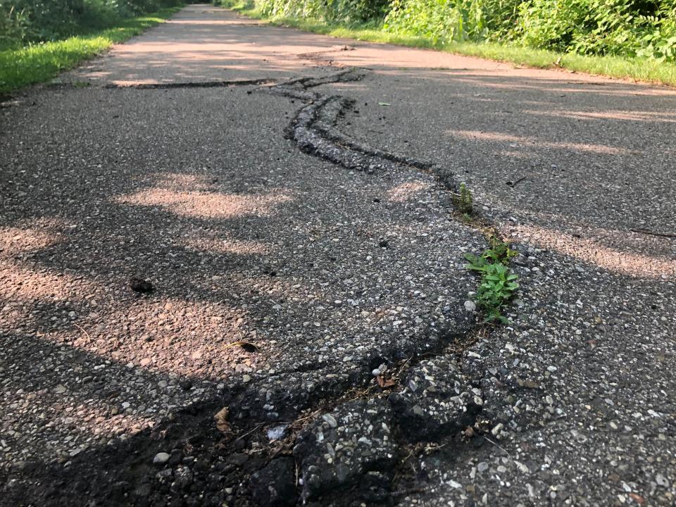 One of several cracks appears on the paved trail in Niles north of Fort Street. The city is seeking grants to repair and maintain the trail.
