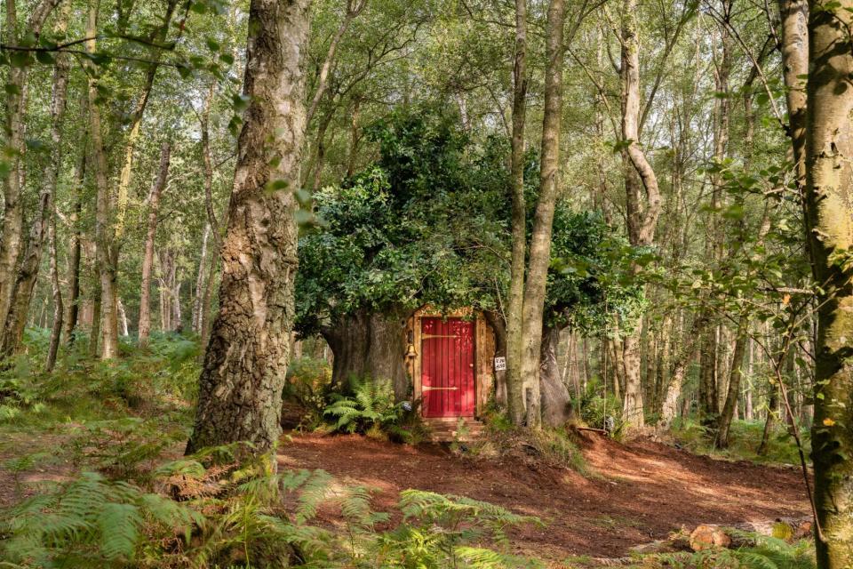 Winnie the Pooh House Airbnb