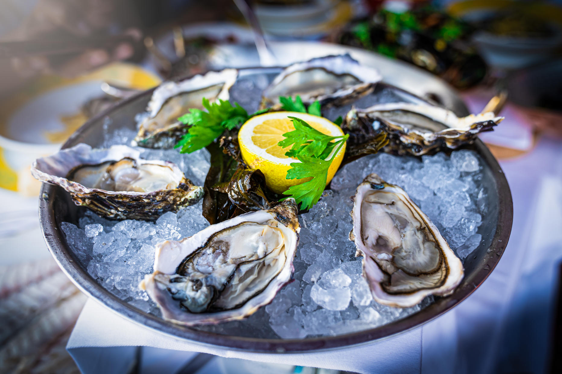 vibriosis Half dozen fresh oysters are served with lemon in bowl with plenty of ice. Contaminated raw oysters can cause serious illness, an expert tells Yahoo Canada.