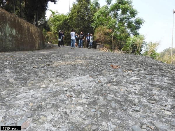 林明溱縣長實地會勘多處路面龜裂下陷破損道路，允諾籌措五百萬元改善。(記者蔡榮宗攝)