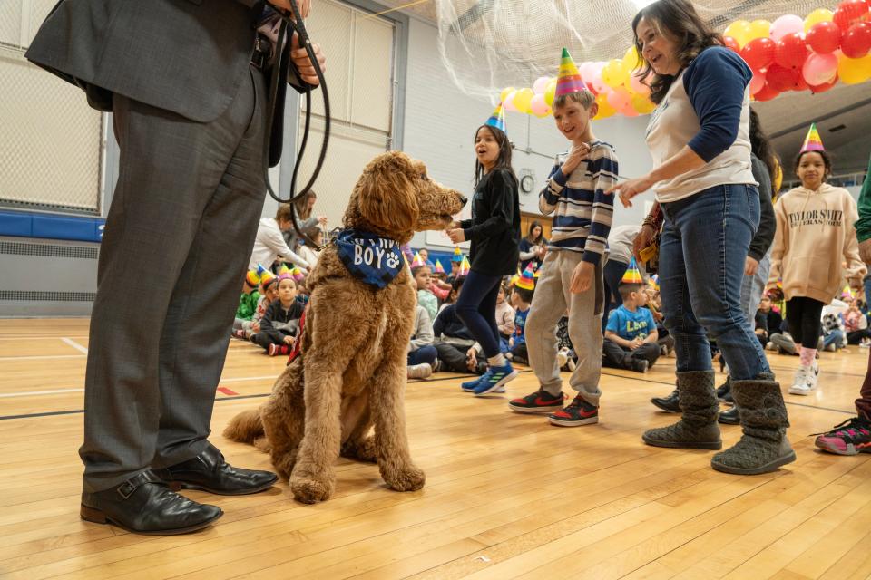 Clifton school district therapy dog, Chewie, celebrates his one year birthday at School 9 in Clifton, NJ on Monday Jan. 22, 2024. Mark Gengaro, assistant superintendent, paraded Chewie around the gymnasium for his celebration.