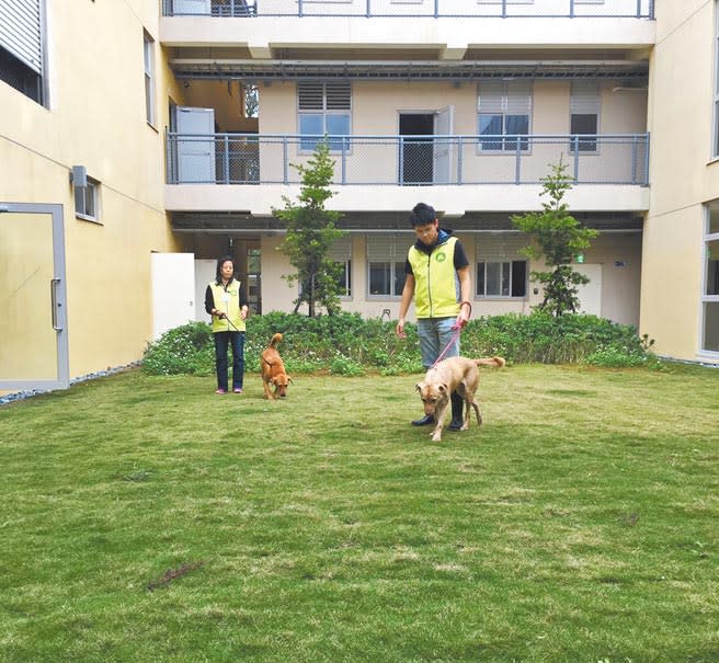 為提升動物健康與民眾認養浪犬的意願，新竹市動物保護教育園區自10月1日起提供順利出養的浪犬首年免費寵物保險，給毛孩與飼主最好的保障。 （陳育賢攝）