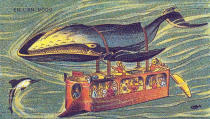 Whales facilitate underwater travel. (Caters News Agency)