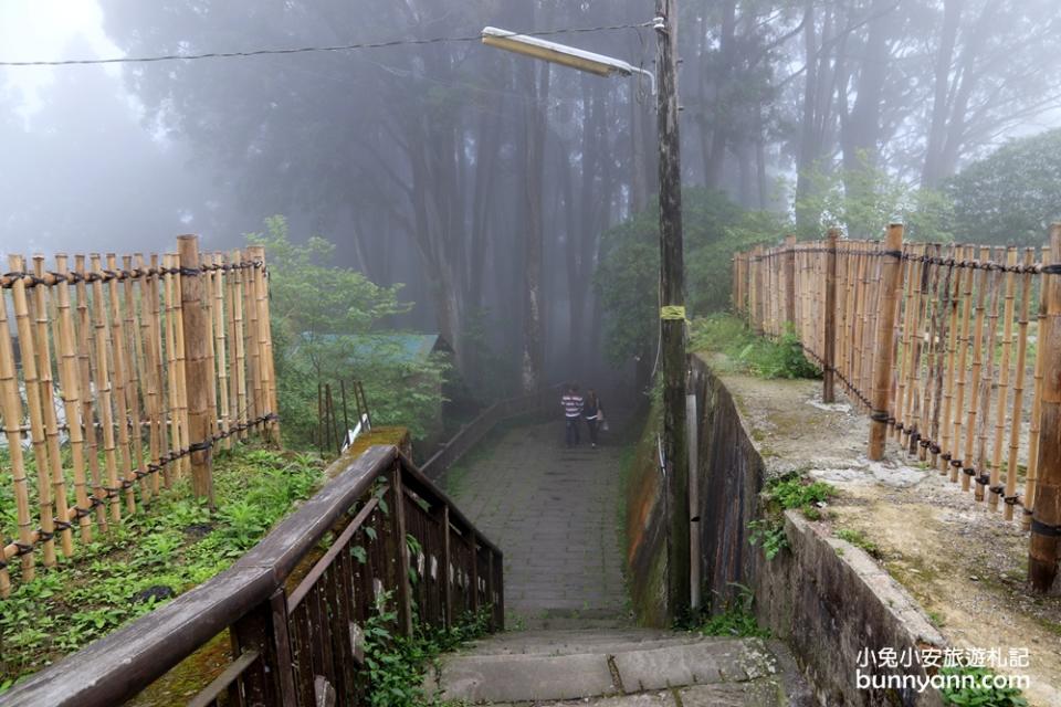 嘉義阿里山奮起湖一日遊