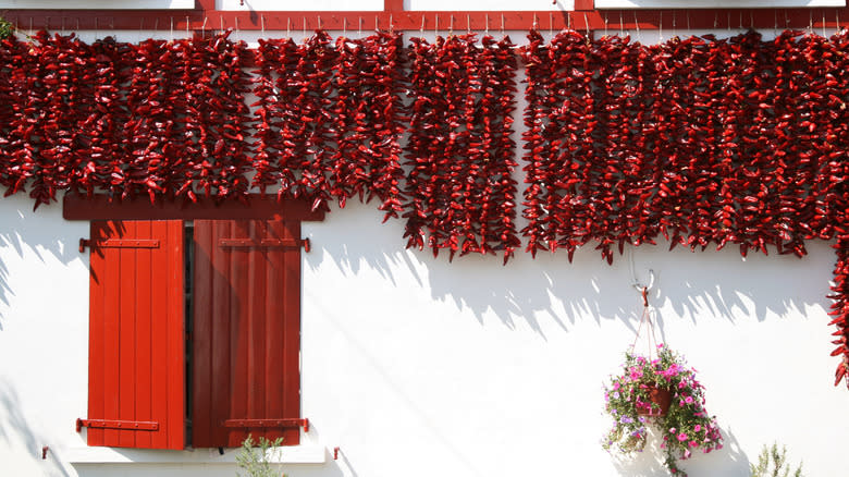 Espelette peppers drying