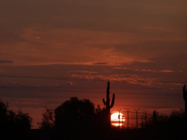 The sun rises behind saguaro cacti at Papago Park on June 17 in Phoenix, Arizona. The National Weather Service has issued an Excessive Heat Warning for central Arizona through Sunday (Getty Images)