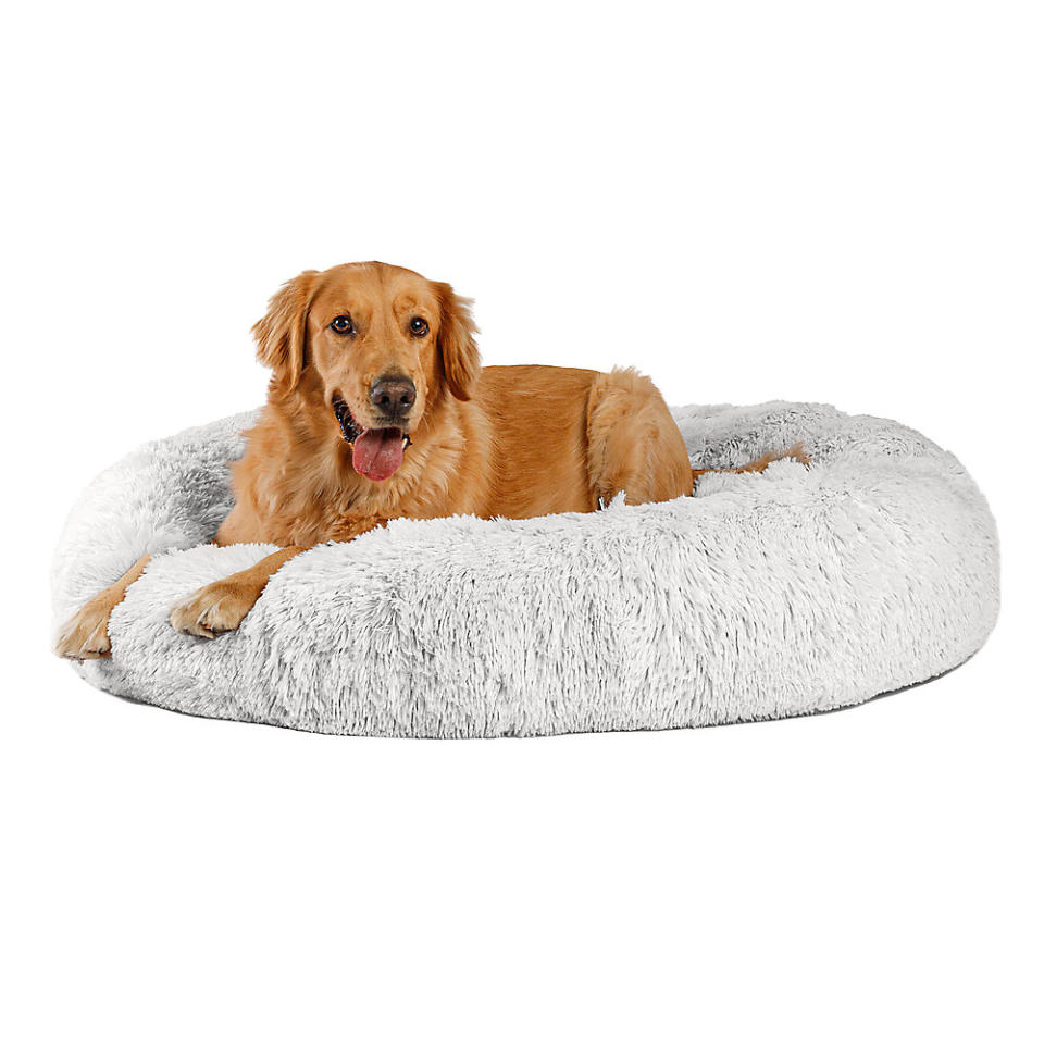 <p><a href="https://go.redirectingat.com?id=74968X1596630&url=https%3A%2F%2Fwww.petsmart.com%2Fdog%2Fbeds-and-furniture%2Fcuddler-beds%2Fbest-friends-by-sheri-the-original-calming-shag-fur-donut-cuddler-cat-and-dog-bed-72380.html&sref=https%3A%2F%2Fwww.countryliving.com%2Fshopping%2Fgifts%2Fg45753815%2Fwhat-to-gift-alongside-that-new-puppy-for-christmas%2F" rel="nofollow noopener" target="_blank" data-ylk="slk:Shop Now;elm:context_link;itc:0;sec:content-canvas" class="link ">Shop Now</a></p><p>Snug Snoozer</p><p>PetSmart</p><p>$109.99</p>