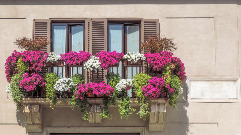 Blumenkästen auf dem Balkon