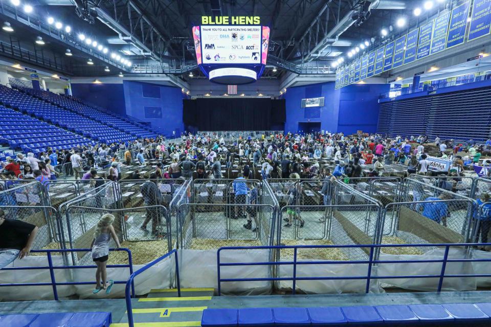 Many attended the The Brandywine Valley SPCA sixth Mega Adoption event in hope of adopting a pet Saturday. June, 29, 2019, at The Bob Carpenter Sports Convocation Center in Newark, DE.