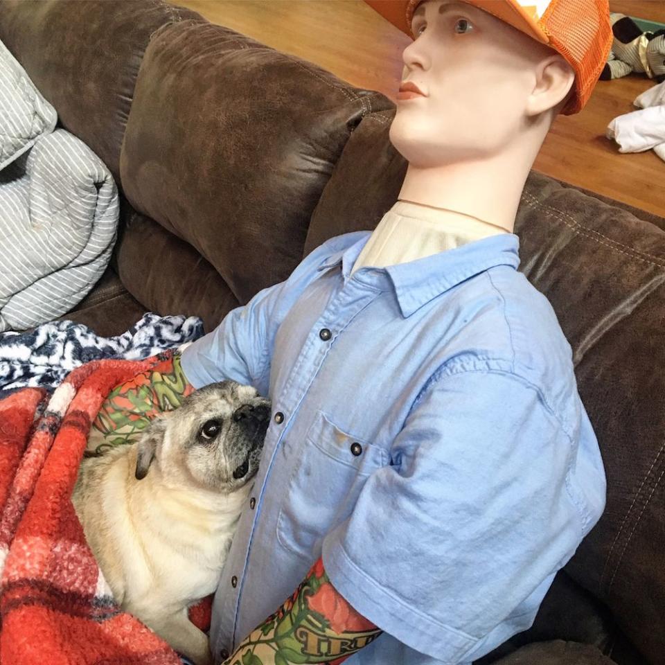 Dog with Separation Anxiety Finds Comfort in Mannequin